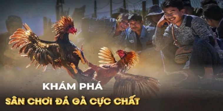 Bí Quyết Cách Chơi Đá Gà GA28 Tại Vui123 Ăn Tiền Thưởng