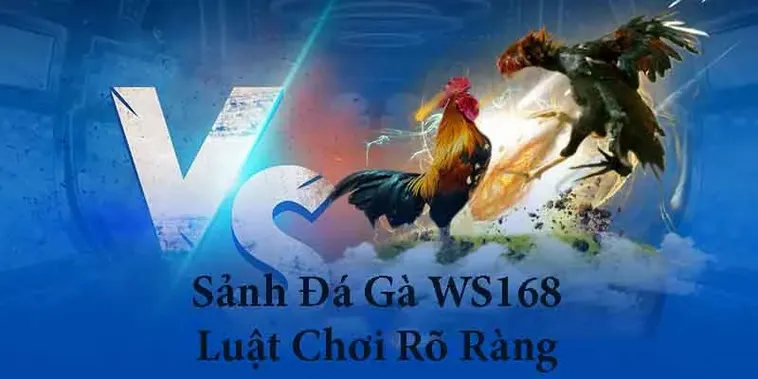 Chi Tiết Cách Chơi Đá Gà WS168 Tại Vui123 Cho Người Mới