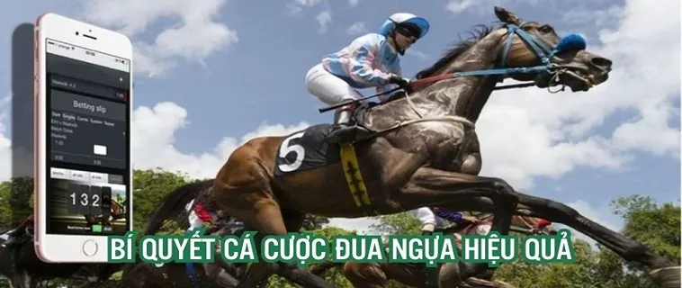 Tuyệt Chiêu Tìm Hiểu Cá Cược Đua Ngựa Vui123 Cực Kỳ Đơn Giản 2 Tuyệt Chiêu Tìm Hiểu Cá Cược Đua Ngựa Vui123 Cực Kỳ Đơn Giản